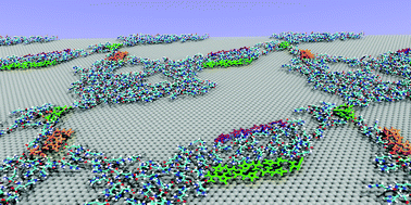 Graphical abstract: Side-chain effects on the co-existence of emergent nanopatterns in amino acid adlayers on graphene