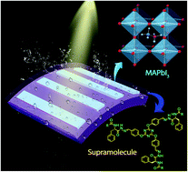 Graphical abstract: Transparent, flexible MAPbI3 perovskite microwire arrays passivated with ultra-hydrophobic supramolecular self-assembly for stable and high-performance photodetectors