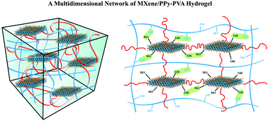 Graphical abstract: A multidimensional nanostructural design towards electrochemically stable and mechanically strong hydrogel electrodes