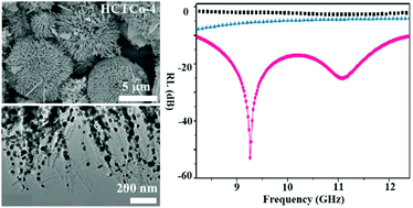 Graphical abstract: Dandelion-like carbon nanotube assembly embedded with closely separated Co nanoparticles for high-performance microwave absorption materials