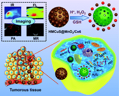 Graphical abstract: A HMCuS@MnO2 nanocomplex responsive to multiple tumor environmental clues for photoacoustic/fluorescence/magnetic resonance trimodal imaging-guided and enhanced photothermal/photodynamic therapy