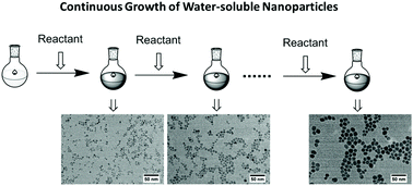 Graphical abstract: Continuous growth phenomenon for direct synthesis of monodisperse water-soluble iron oxide nanoparticles with extraordinarily high relaxivity