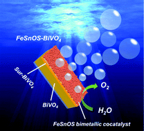 Graphical abstract: A high-activity bimetallic OER cocatalyst for efficient photoelectrochemical water splitting of BiVO4