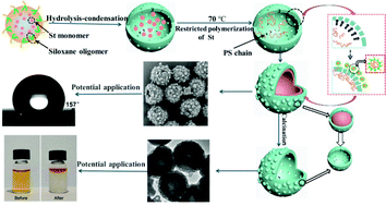 Graphical abstract: Hollow mesoporous silica with a hierarchical shell from in situ synergistic soft–hard double templates
