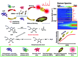 Graphical abstract: Enzyme activity-modulated etching of gold nanobipyramids@MnO2 nanoparticles for ALP assay using surface-enhanced Raman spectroscopy