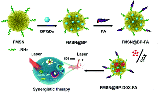 Graphical abstract: Multifunctional hierarchical mesoporous silica and black phosphorus nanohybrids as chemo-photothermal synergistic agents for enhanced cancer therapy
