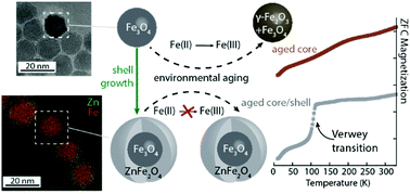 Graphical abstract: Shell-mediated control of surface chemistry of highly stoichiometric magnetite nanoparticles