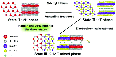 Graphical abstract: In situ monitoring of the electrochemically induced phase transition of thermodynamically metastable 1T-MoS2 at nanoscale