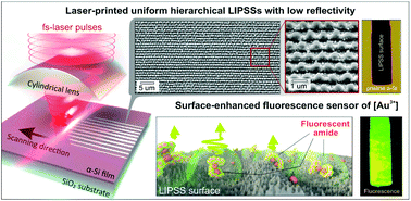 Graphical abstract: Hierarchical anti-reflective laser-induced periodic surface structures (LIPSSs) on amorphous Si films for sensing applications