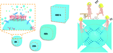 Graphical abstract: Mechanistic insight in site-selective and anisotropic etching of prussian blue analogues toward designable complex architectures for efficient energy storage