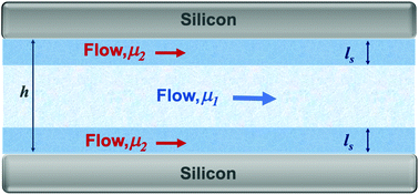 Graphical abstract: On interfacial viscosity in nanochannels