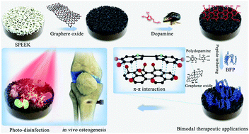 Graphical abstract: Two-dimensional nanocoating-enabled orthopedic implants for bimodal therapeutic applications