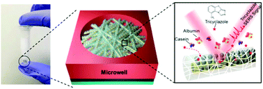 Graphical abstract: Encapsulation of 3D plasmonic nanostructures with ultrathin hydrogel skin for rapid and direct detection of toxic small molecules in complex fluids