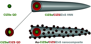 Graphical abstract: Near-infrared-emitting CIZSe/CIZS/ZnS colloidal heteronanonail structures