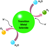 Graphical abstract: Recent progress in transition metal selenide electrocatalysts for water splitting