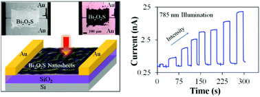 Graphical abstract: Ultrathin Bi2O2S nanosheet near-infrared photodetectors