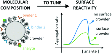 Graphical abstract: Inter-particle biomolecular reactivity tuned by surface crowders