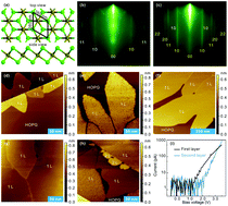 Graphical abstract: FeCl2 monolayer on HOPG: art of growth and momentum filtering effect