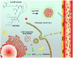 Graphical abstract: Histone methyltransferase G9a inhibitor-loaded redox-responsive nanoparticles for pancreatic ductal adenocarcinoma therapy