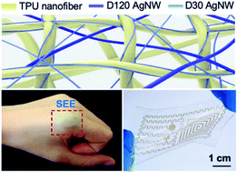 Graphical abstract: Highly conductive, stretchable, and breathable epidermal electrode based on hierarchically interactive nano-network
