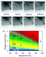 Graphical abstract: Dynamics of chiral state transitions and relaxations in an FeGe thin plate via in situ Lorentz microscopy