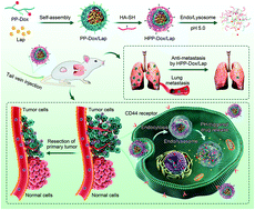 Graphical abstract: Acid-labile polysaccharide prodrug via lapatinib-sensitizing effect substantially prevented metastasis and postoperative recurrence of triple-negative breast cancer