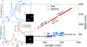 Graphical abstract: Characterising the size and shape of metallic nano-structures by their acoustic vibrations