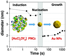 Graphical abstract: The role of pre-nucleation clusters in the crystallization of gold nanoparticles