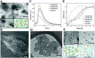 Graphical abstract: Synergistic transdermal delivery of nanoethosomes embedded in hyaluronic acid nanogels for enhancing photodynamic therapy