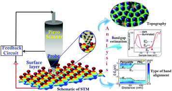 Graphical abstract: Recent progress in hybrid perovskite solar cells through scanning tunneling microscopy and spectroscopy