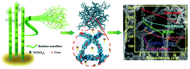 Graphical abstract: Configuring hierarchical Ni/NiO 3D-network assisted with bamboo cellulose nanofibers for high-performance Ni–Zn aqueous batteries