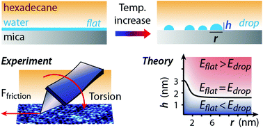 Graphical abstract: Impact of water on the lubricating properties of hexadecane at the nanoscale