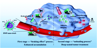 Graphical abstract: Two-stage activated nano-truck enhanced specific aggregation and deep delivery for synergistic tumor ablation