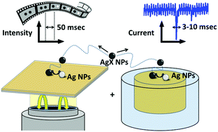 Graphical abstract: Revealing the sub-50 ms electrochemical conversion of silver halide nanocolloids by stochastic electrochemistry and optical microscopy