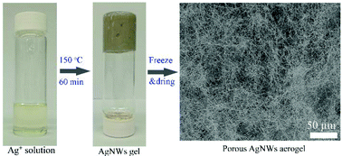 Graphical abstract: In situ synthesis of silver nanowire gel and its super-elastic composite foams