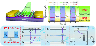 Graphical abstract: Reduction of the ambient effect in multilayer InSe transistors and a strategy toward stable 2D-based optoelectronic applications
