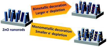 Graphical abstract: Free carrier enhanced depletion in ZnO nanorods decorated with bimetallic AuPt nanoclusters