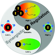 Graphical abstract: Synergistic regulation of longitudinal and transverse relaxivity of extremely small iron oxide nanoparticles (ESIONPs) using pH-responsive nanoassemblies