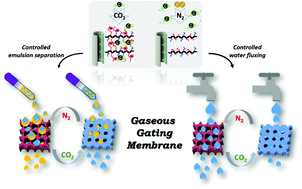 Graphical abstract: A CO2-gated anodic aluminum oxide based nanocomposite membrane for de-emulsification
