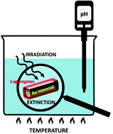 Graphical abstract: Strongly coupled exciton–plasmon nanohybrids reveal extraordinary resistance to harsh environmental stressors: temperature, pH and irradiation