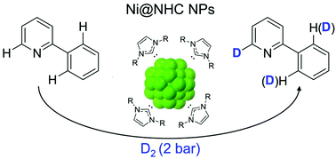 Graphical abstract: Chemoselective H/D exchange catalyzed by nickel nanoparticles stabilized by N-heterocyclic carbene ligands