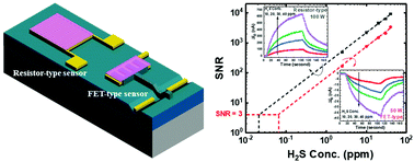 Graphical abstract: Proposition of deposition and bias conditions for optimal signal-to-noise-ratio in resistor- and FET-type gas sensors