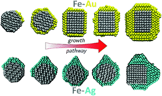 Graphical abstract: How interface properties control the equilibrium shape of core–shell Fe–Au and Fe–Ag nanoparticles