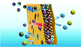 Graphical abstract: A sulfur, nitrogen dual-doped porous graphene nanohybrid for ultraselective Hg(ii) separation over Pb(ii) and Cu(ii)