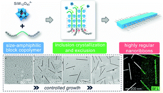 Graphical abstract: Uniform hybrid nanoribbons from unidirectional inclusion crystallization controlled by size-amphiphilic block copolymers