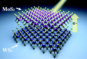 Graphical abstract: Effects of dielectric screening on the excitonic and critical points properties of WS2/MoS2 heterostructures