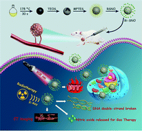 Graphical abstract: X-ray-triggered NO-released Bi–SNO nanoparticles: all-in-one nano-radiosensitizer with photothermal/gas therapy for enhanced radiotherapy