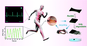 Graphical abstract: Degradable self-adhesive epidermal sensors prepared from conductive nanocomposite hydrogel