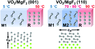 Graphical abstract: Directly measuring the structural transition pathways of strain-engineered VO2 thin films