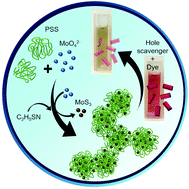 Graphical abstract: Self-assembled hybrid organic–MoS3-nanoparticle catalyst for light energy conversion